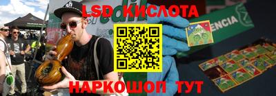 прущие грибы Будённовск