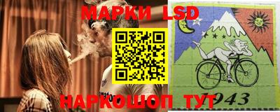 прущие грибы Будённовск