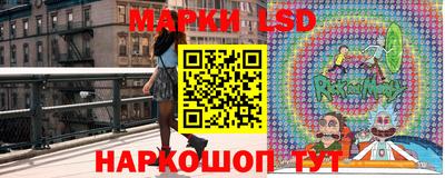 прущие грибы Будённовск