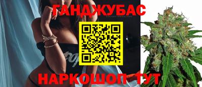 прущие грибы Будённовск