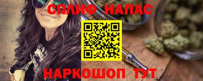 прущие грибы Будённовск